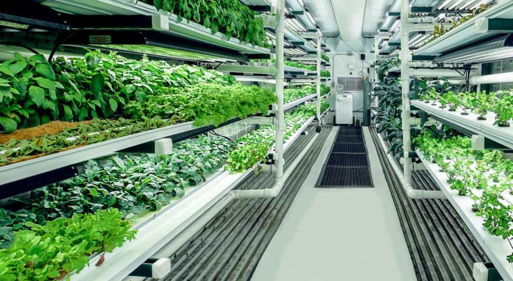 PRYMACE Agricultural Service