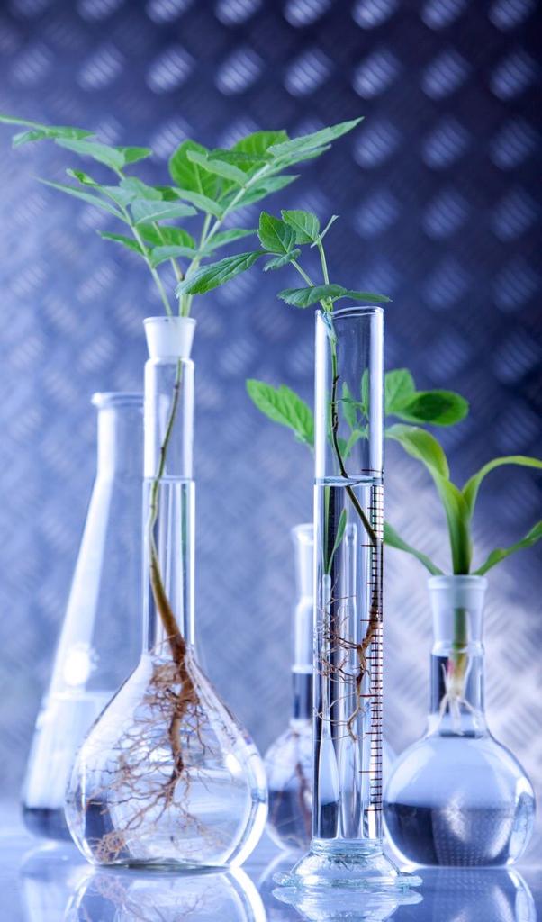 PRYMACE Biotechnology Service